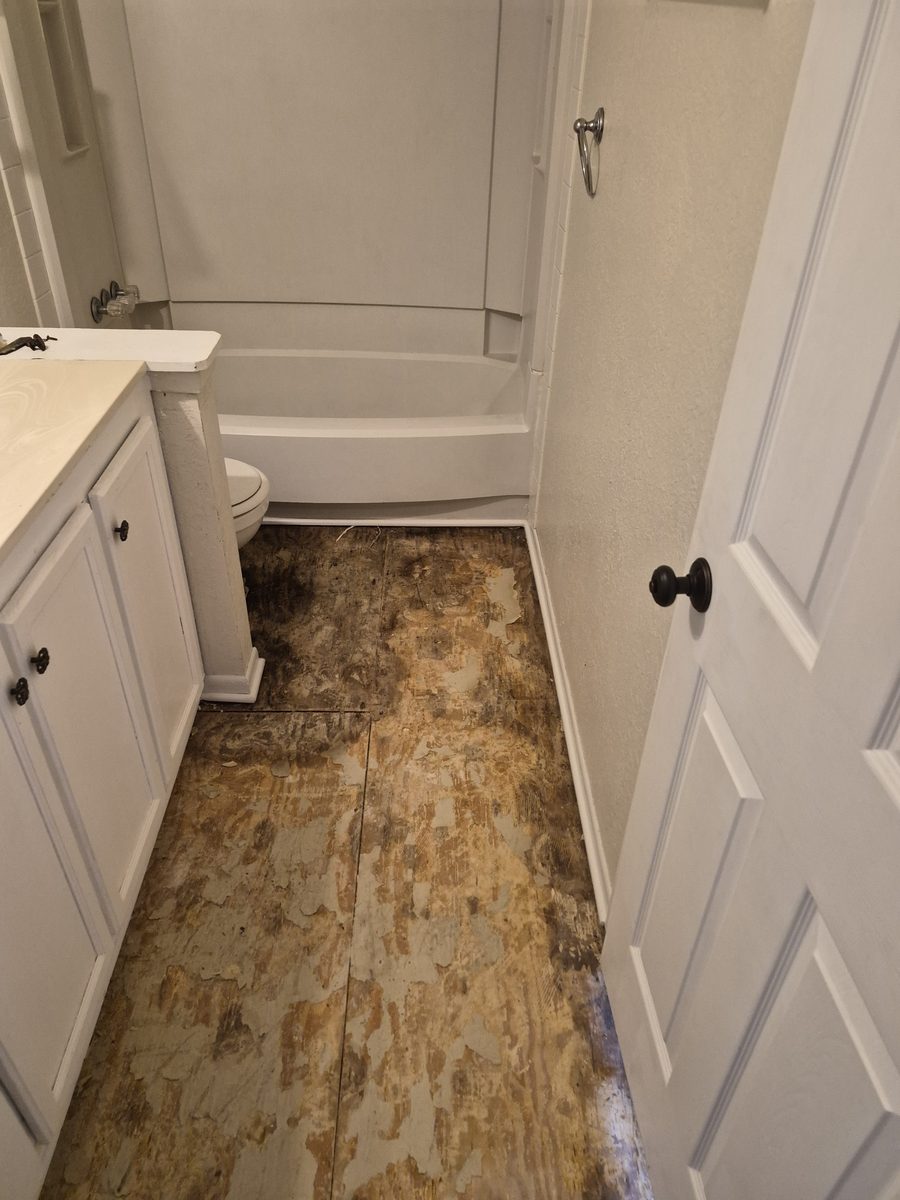 Bathroom floor taken down to plywood subfloor