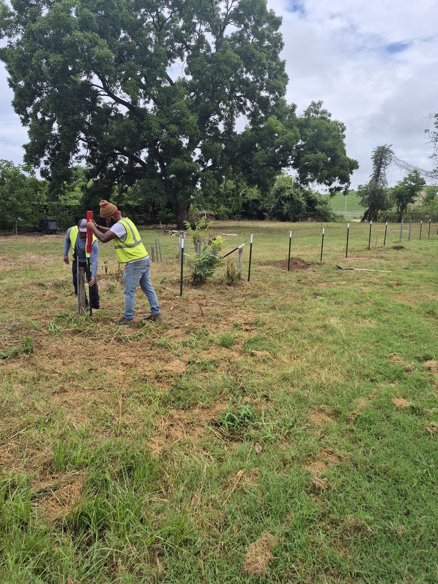 Crew working a staked lot during a clearing job