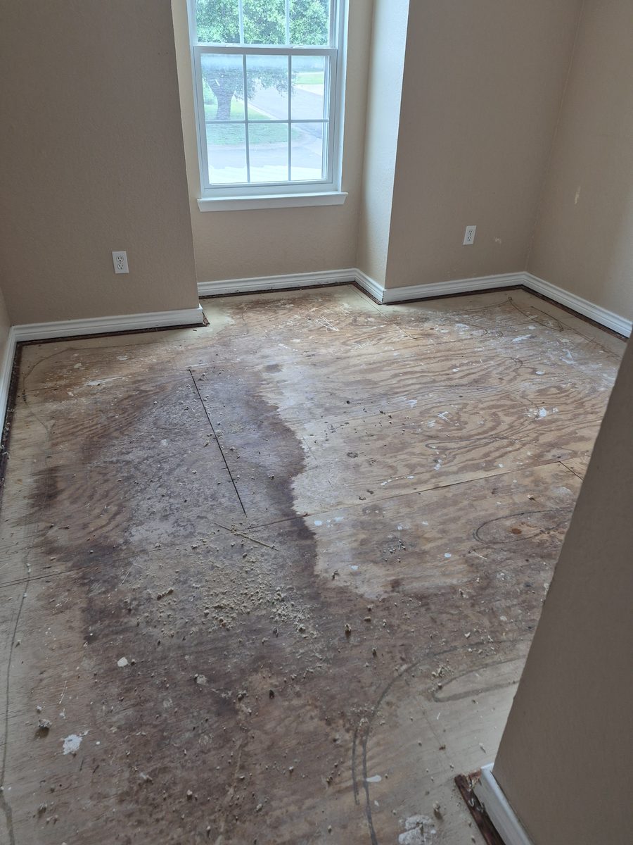 Room taken down to plywood subfloor beneath a window