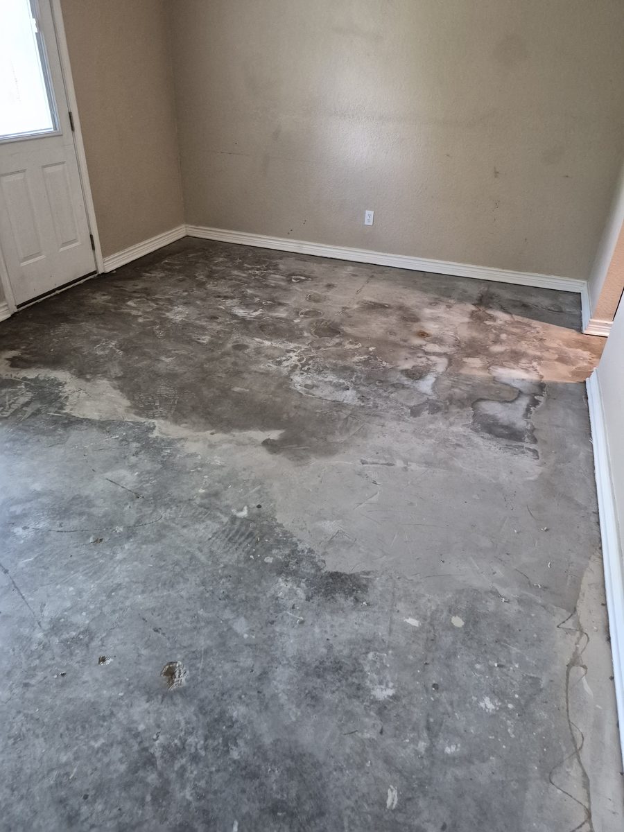Living space cleared down to the bare slab