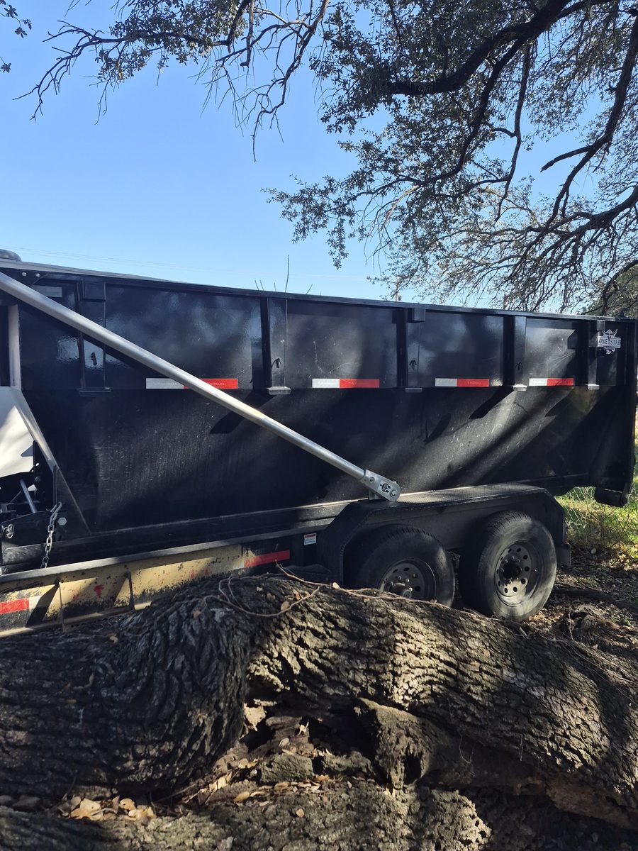 Roll-off trailer beside a large felled tree trunk